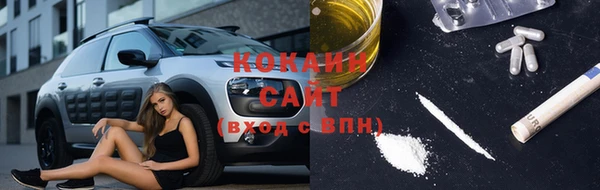 соль ск Алексин