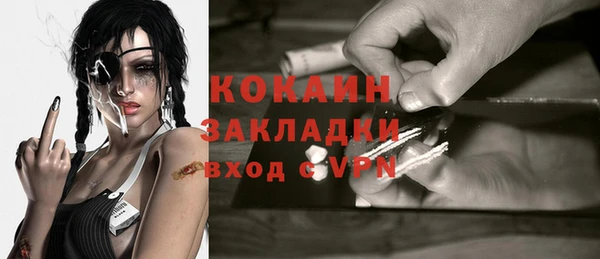 стаф Каменка