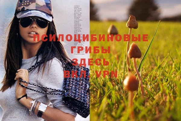 спайс Алзамай