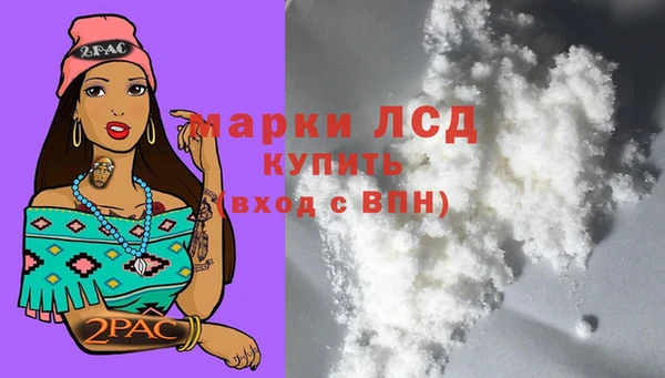 спайс Алзамай
