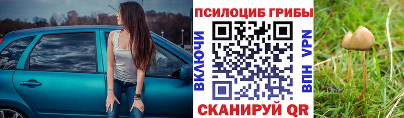закладки  Курчалой  мориарти состав  Псилоцибиновые грибы Magic Shrooms 